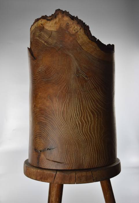 Holzkunst von Michael Wendland, bei der die Einzigartigkeit des Naturmaterials durch Form- und Farbgebung inszeniert wird