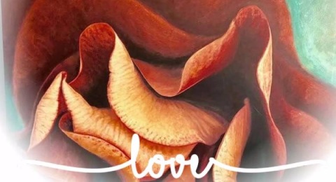 Rosenblatt mit dem Verweis auf Liebe - die Künstlerin ist sich der Sinnlichkeit ihrer Bilder mittlerweile bewusst