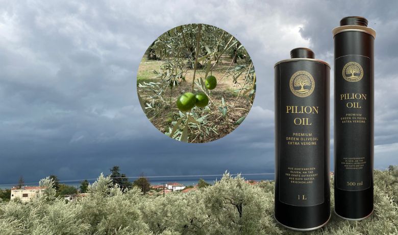 Extra Natives Olivenöl Pilion | Premium-Olivenöl | StilDate