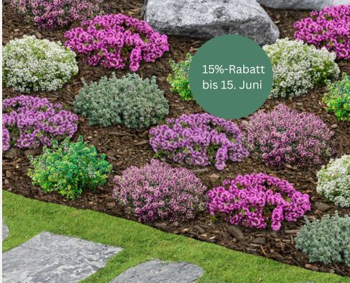 Rabattaktion von Mein Schöner Garten bis 15. Juni