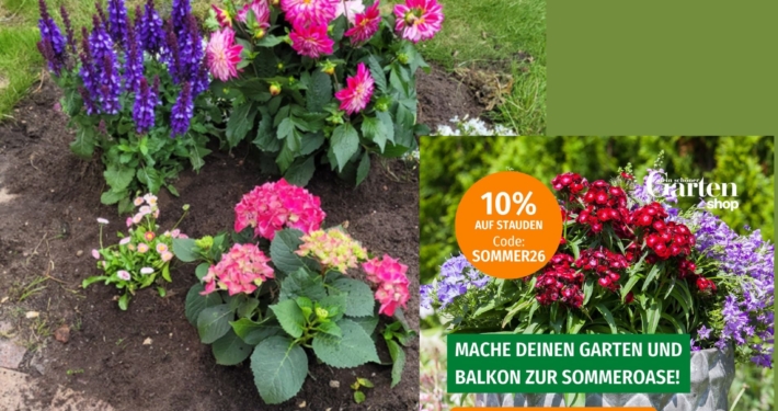 Staudenbeet bei mir im Garten - Stauden gibt es bis 14. Juli preisewerter im Shop von Mein Schöner Garten