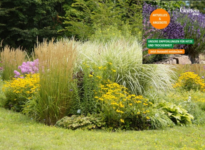 Gartenoptik zur Aktion von Mein Schöner Garten im Sommer